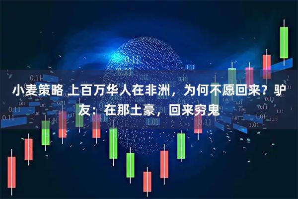 小麦策略 上百万华人在非洲，为何不愿回来？驴友：在那土豪，回来穷鬼