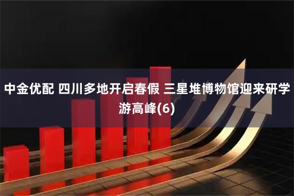中金优配 四川多地开启春假 三星堆博物馆迎来研学游高峰(6)