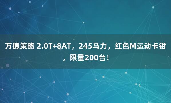 万德策略 2.0T+8AT，245马力，红色M运动卡钳，限量200台！