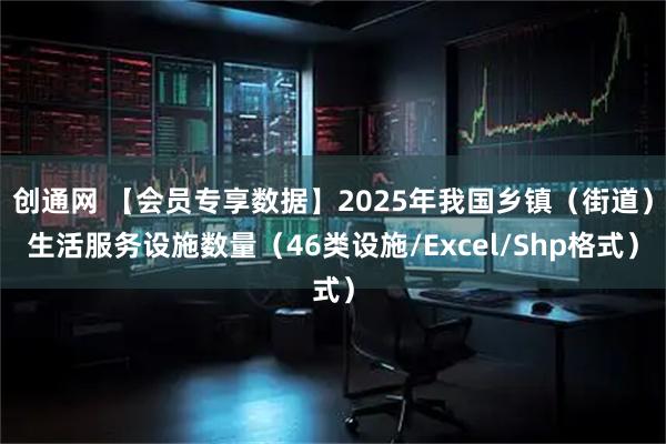 创通网 【会员专享数据】2025年我国乡镇(街道)生活服务设施数量(46类设施/Excel/Shp格式)