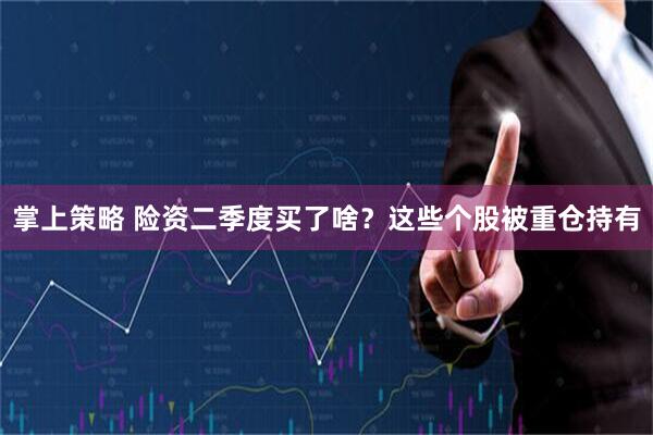 掌上策略 险资二季度买了啥？这些个股被重仓持有