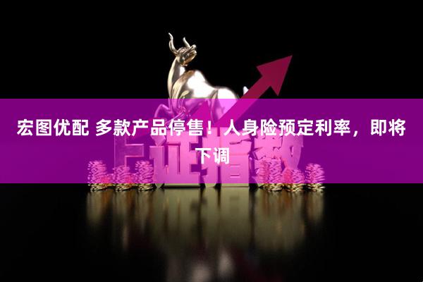 宏图优配 多款产品停售！人身险预定利率，即将下调