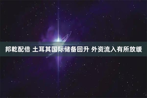 邦乾配倍 土耳其国际储备回升 外资流入有所放缓