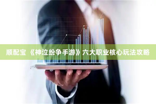 顺配宝 《神泣纷争手游》六大职业核心玩法攻略