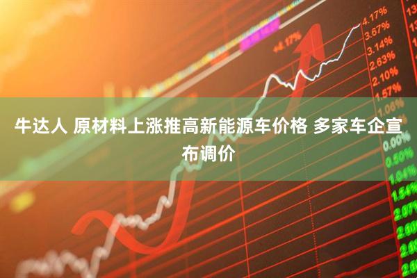 牛达人 原材料上涨推高新能源车价格 多家车企宣布调价