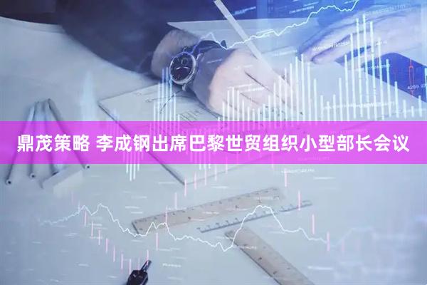 鼎茂策略 李成钢出席巴黎世贸组织小型部长会议