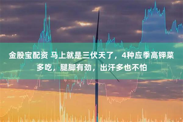 金股宝配资 马上就是三伏天了，4种应季高钾菜多吃，腿脚有劲，出汗多也不怕