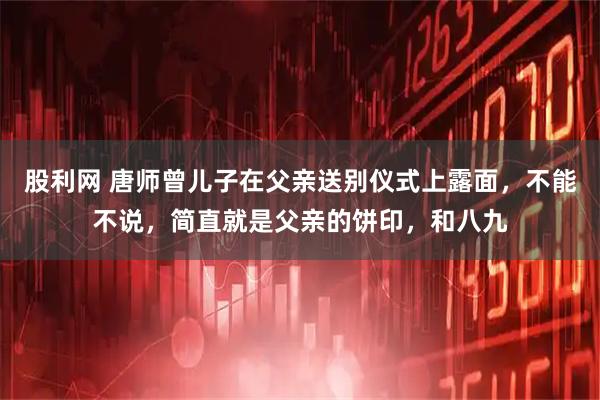 股利网 唐师曾儿子在父亲送别仪式上露面，不能不说，简直就是父亲的饼印，和八九